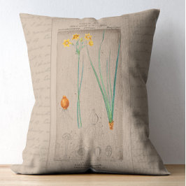 Cojín Decorativo Ilustracion botánico francés Daffodil