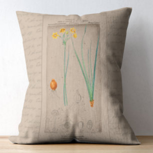 Cojín Decorativo Ilustracion botánico francés Daffodil