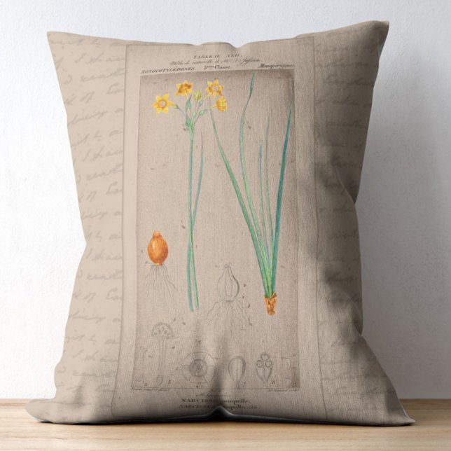 Cojín Decorativo Ilustracion botánico francés Daffodil (Subido por el creador)