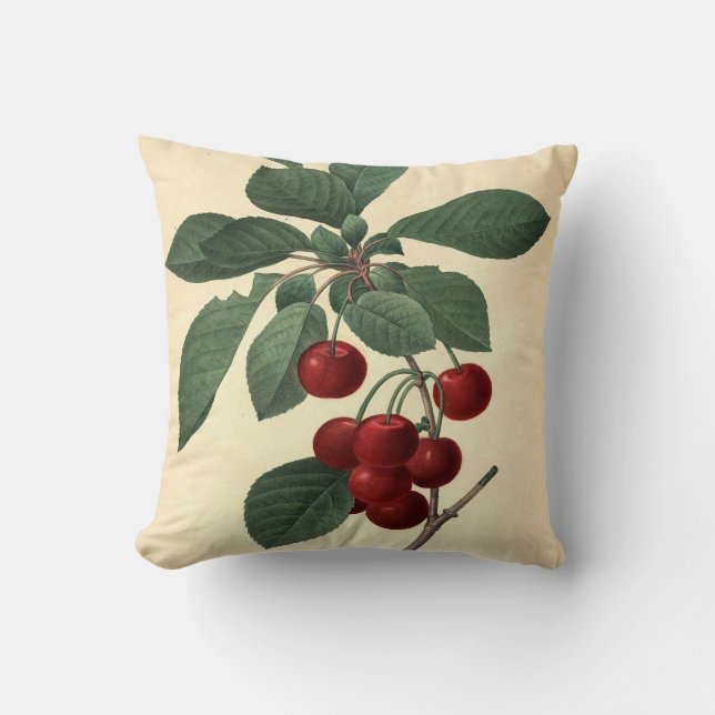 Cojín Decorativo Ilustracion Botánico Royal Cherry (Anverso)