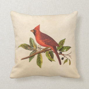 Cojín Decorativo Ilustracion cardinal del pájaro de la canción de