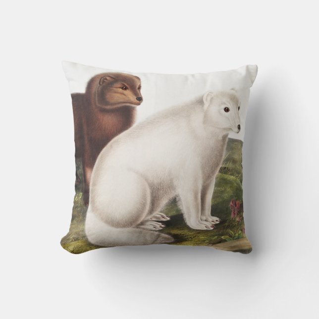 Cojín Decorativo Ilustracion de Fox Ártica (Vulpes Lagopus) (Anverso)