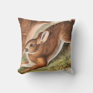 Cojín Decorativo Ilustracion del Hare Septentrional (Lepus American