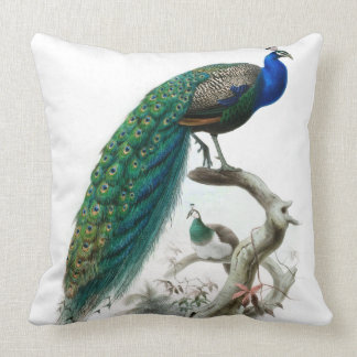Cojín Decorativo Ilustracion del pavo real del vintage