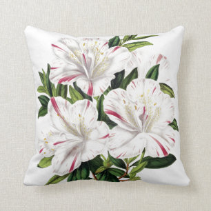 Cojín Decorativo Ilustracion del vintage de las azaleas
