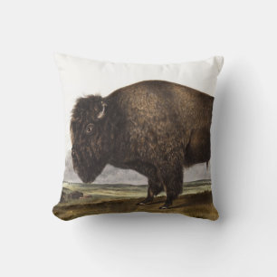 Cojín Decorativo Ilustracion estadounidense Bison (Bos Americanus)