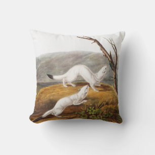 Cojín Decorativo Ilustracion Little Nimble Weasel Putorius agilis