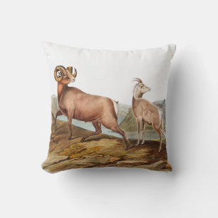 Cojín Decorativo Ilustracion Ovis montana