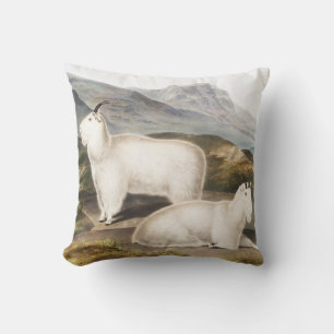Cojín Decorativo Ilustracion Rocky Mountain Goat (Capra Americana)