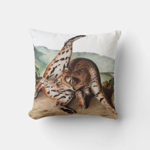 Cojín Decorativo Ilustracion Texan Lynx (Lynx rufus var maculatus)