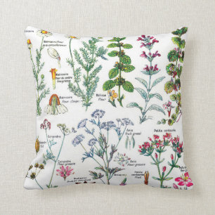 Cojín Decorativo Ilustraciones botánicos - plantas de Larousse
