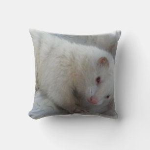 Cojín Decorativo Imagen de Albino Ferret