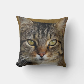 Cojín Decorativo Imagen del gato del tigre gris con fondo oscuro