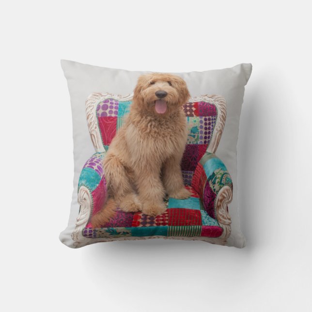 Cojín Decorativo Imágenes de Getty el | Goldendoodle lindo (Anverso)