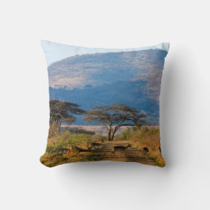 Cojín Decorativo Impala (Aepyceros Melampus), Hluhluwe-Umfolozi