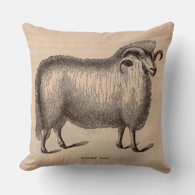Cojín Decorativo Impresión Dorset ram del siglo XIX (Anverso)