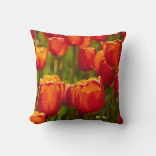 Cojín Decorativo Impresión fotográfica de tulipanes rojos. imán