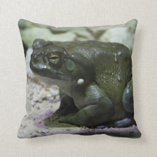 Cojín Decorativo Incilius alvarius