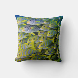 Cojín Decorativo Indonesia. Pescado escolar