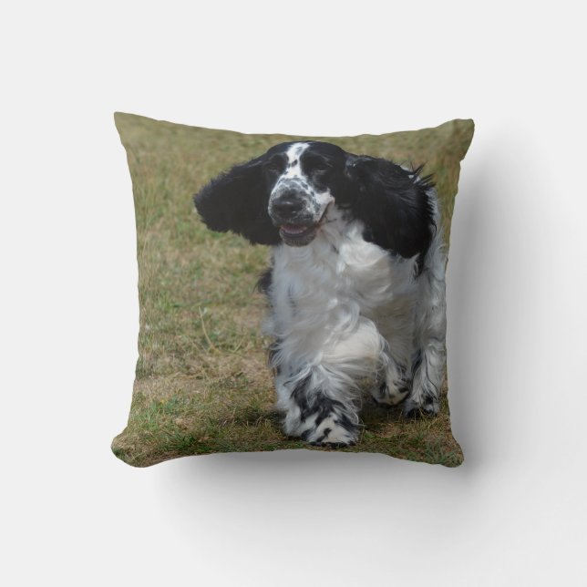 Cojín Decorativo Inglés adorable cocker spaniel (Anverso)