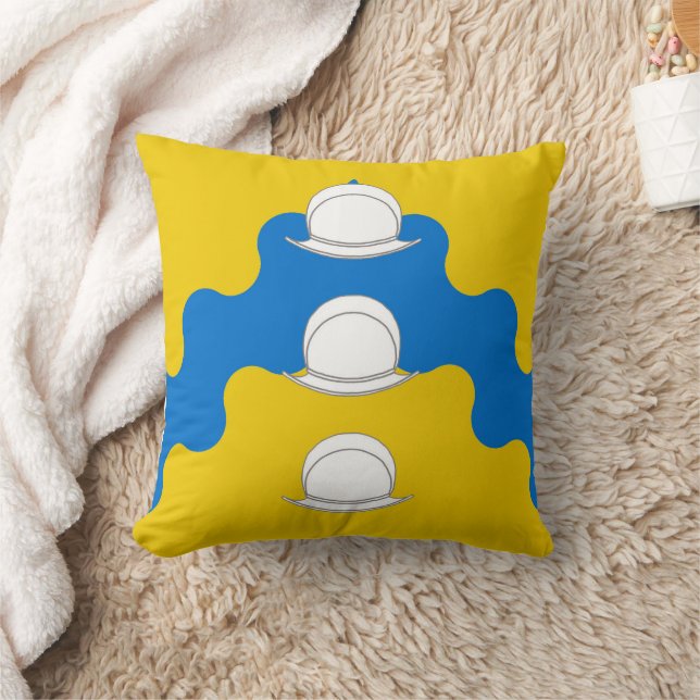 Cojín Decorativo Insignia de Rio de las Animas (Manta)