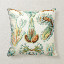 Cojín Decorativo Invertebrados de los Bryozoa de Ernst Haeckel
