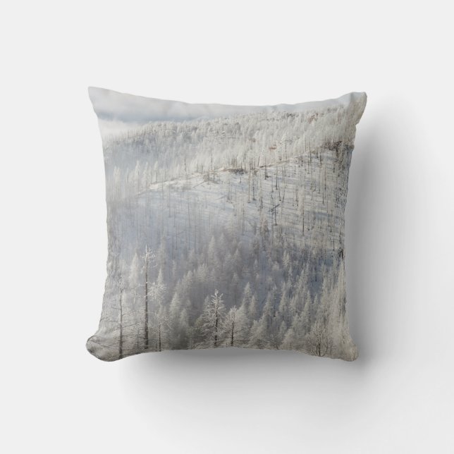Cojín Decorativo Invierno en el Bosque Nacional Pike (Anverso)