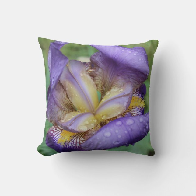 Cojín Decorativo Iris morado (Iris Germanica) (Anverso)