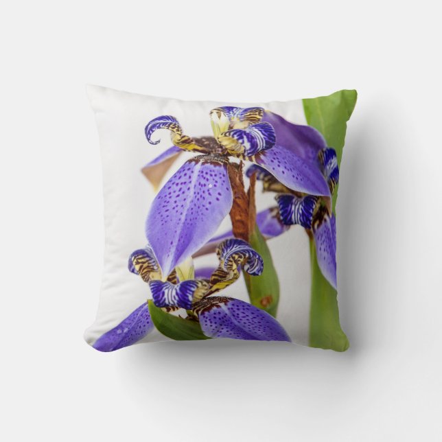 Cojín Decorativo Iris Pillow (Anverso)