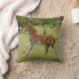 Cojín Decorativo Isla de Pascua aka Rapa Nui