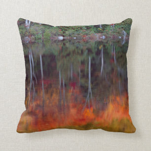 Cojín Decorativo Isla del Desierto Parque Nacional Acadia, Maine