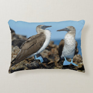 Cojín Decorativo Islas Galápagos, Isla Isabela