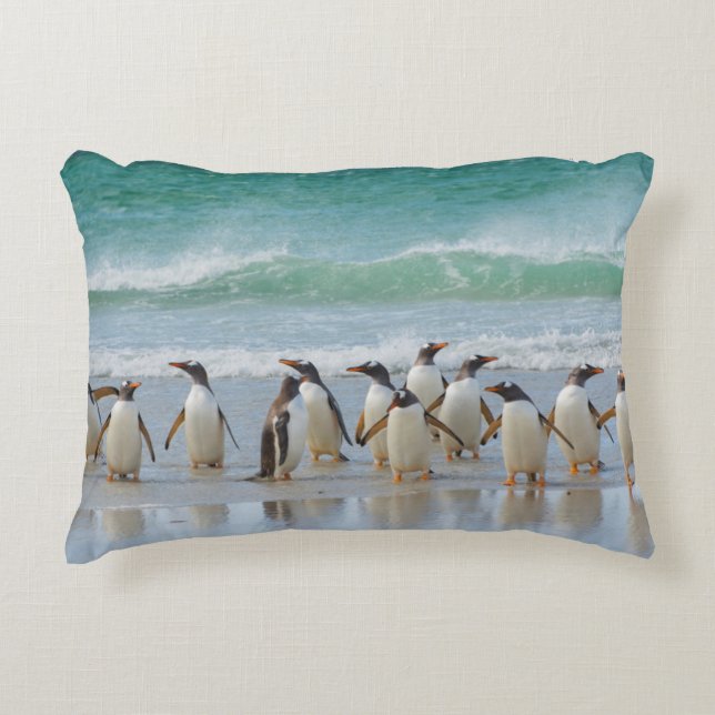 Cojín Decorativo Islas Malvinas. Isla Saunders. Gentoo (Anverso)