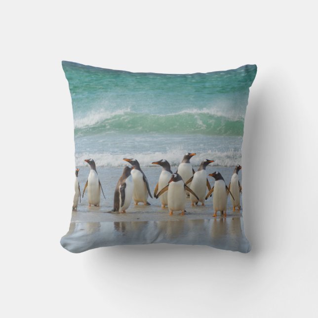 Cojín Decorativo Islas Malvinas. Isla Saunders. Gentoo (Anverso)