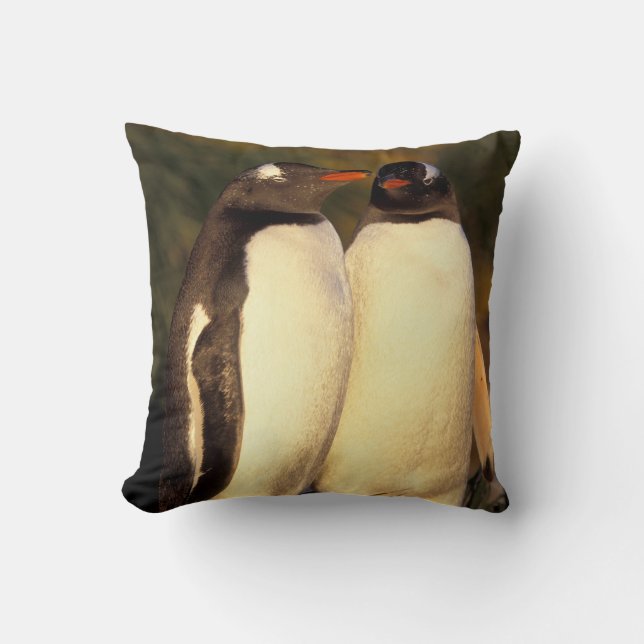 Cojín Decorativo Islas Malvinas. Pingüinos de Gentoo. (Pyroscelis (Anverso)