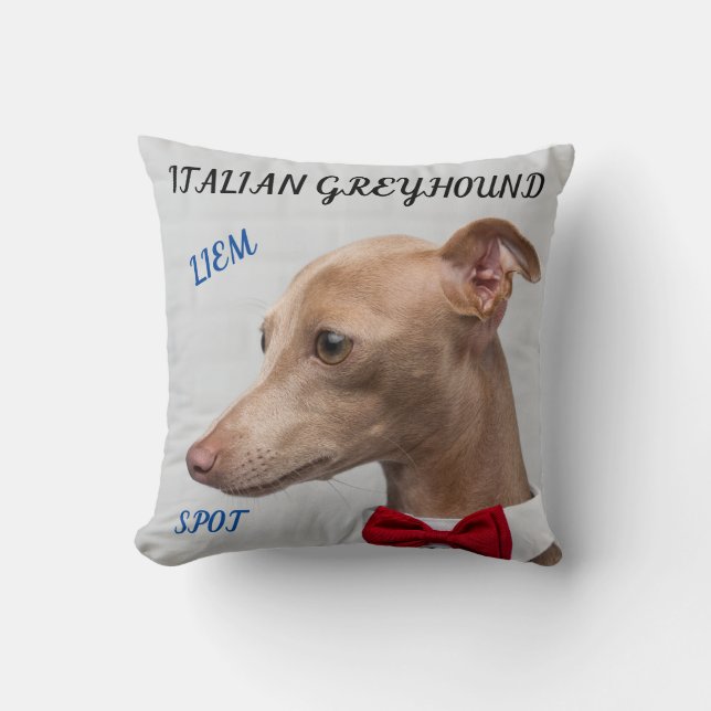 COJÍN DECORATIVO ITALIANO GREYHOUND CON NOMBRES/ME (Anverso)