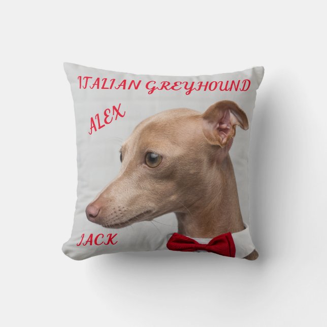 COJÍN DECORATIVO ITALIANO GREYHOUND CON NOMBRES/ME (Anverso)