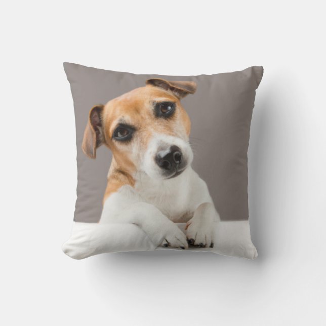 Cojín Decorativo Jack Russell Puppy Sweet Adorable Baby Jack (Anverso)