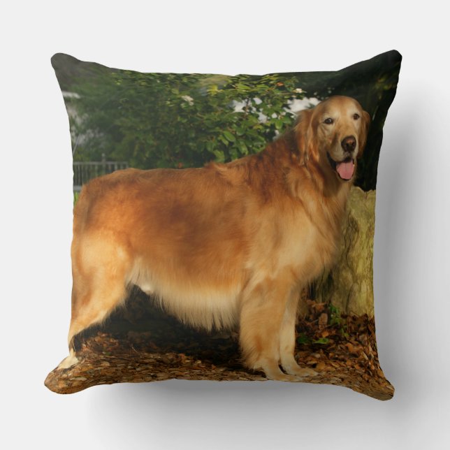 Cojín Decorativo Jadeo del golden retriever (Anverso)