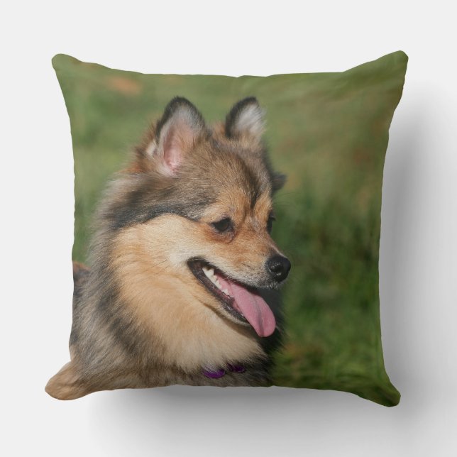 Cojín Decorativo Jadeo del Headshot de Pomeranian (Anverso)