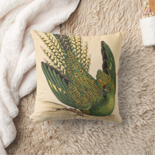 Cojín Decorativo James Sowerby Ground Parrot, Psittacus terrestres