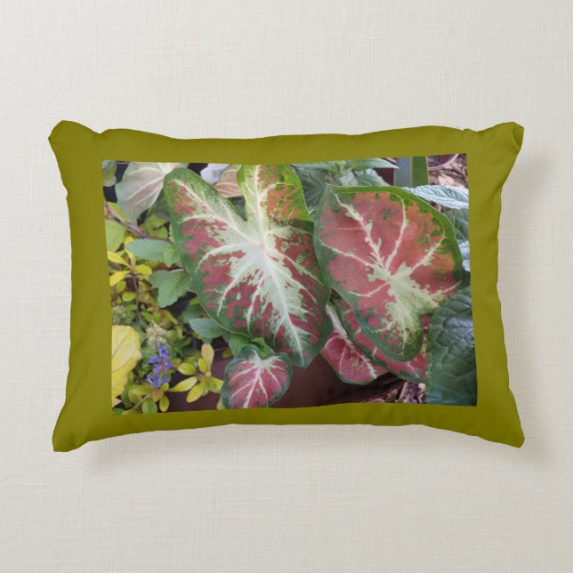 Cojín Decorativo Jardín de Caladium (Anverso)