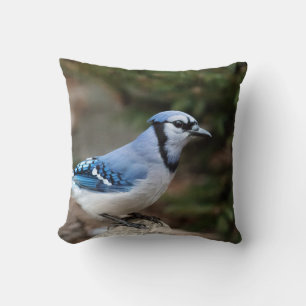 Cojín Decorativo Jay azul en invierno
