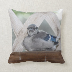 Cojín Decorativo Jay Pillow azul bebé