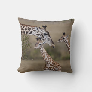 Cojín Decorativo Jirafa Masái (Giraffa tippelskirchi)