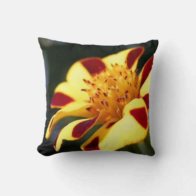 Cojín Decorativo Jolly Jester y Sunflower - Monograma (Anverso)