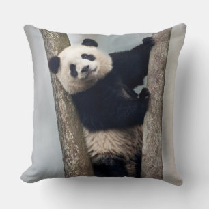 Cojín Decorativo Jóvenes pandas trepando un árbol, China