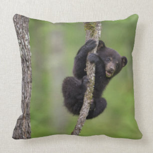 Cojín Decorativo Jugando el cachorro de oso negro, Tennessee