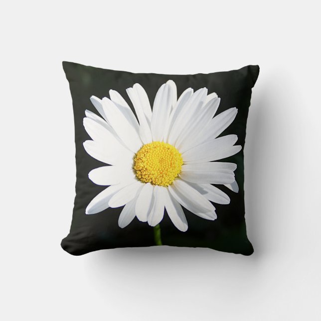 Cojín Decorativo Jumbo blanco Shasta Daisy Flower Pillow (Anverso)