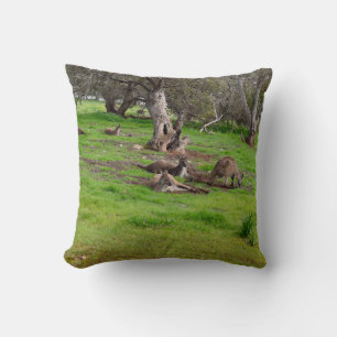 Cojín Decorativo Kangaroo Siesta, Tira Cushion.